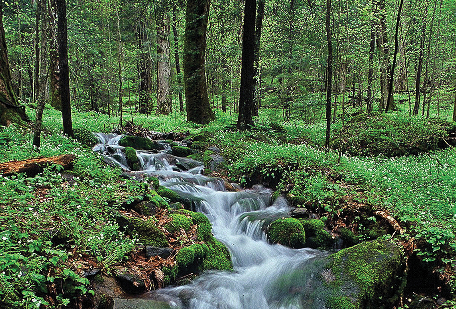 highlands cashiers land trust