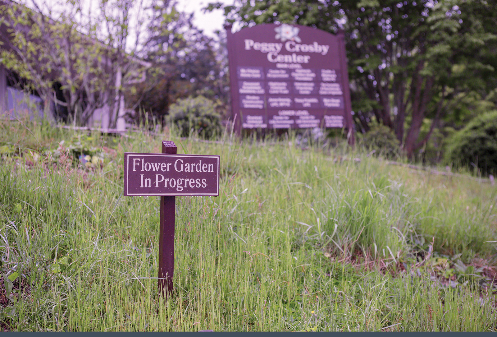 highlands nc peggy crosby center flower garden