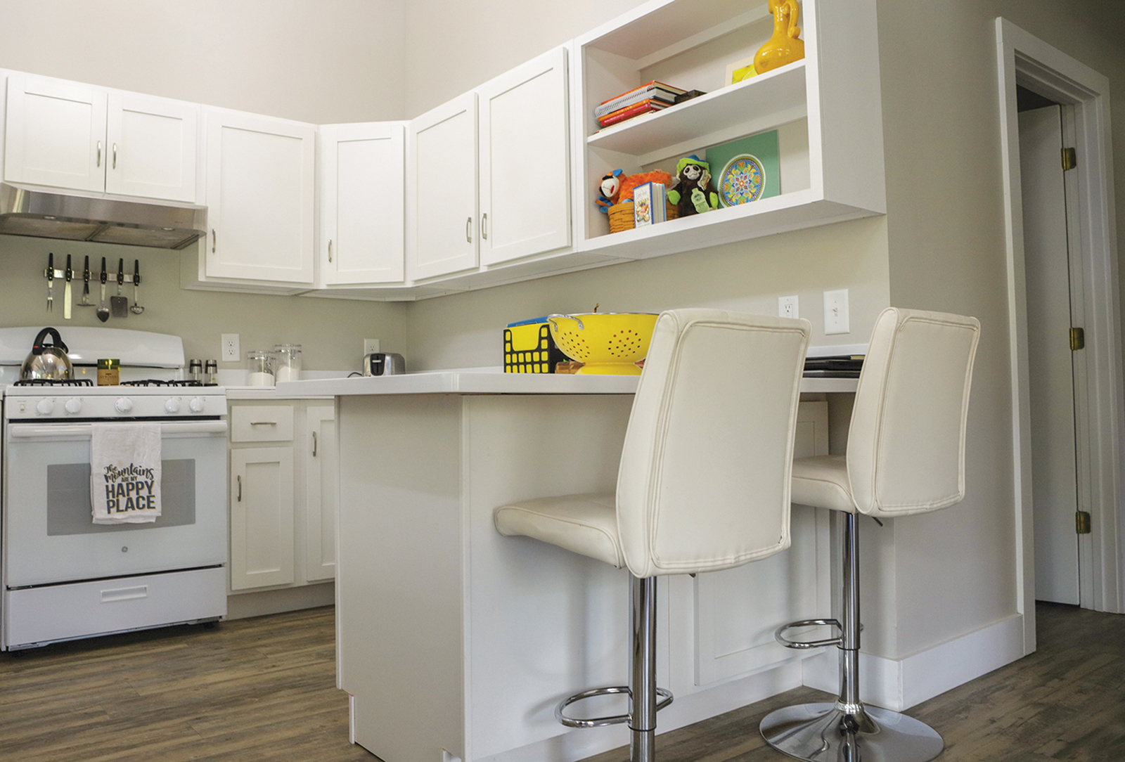 highlands nc tiny home kitchen