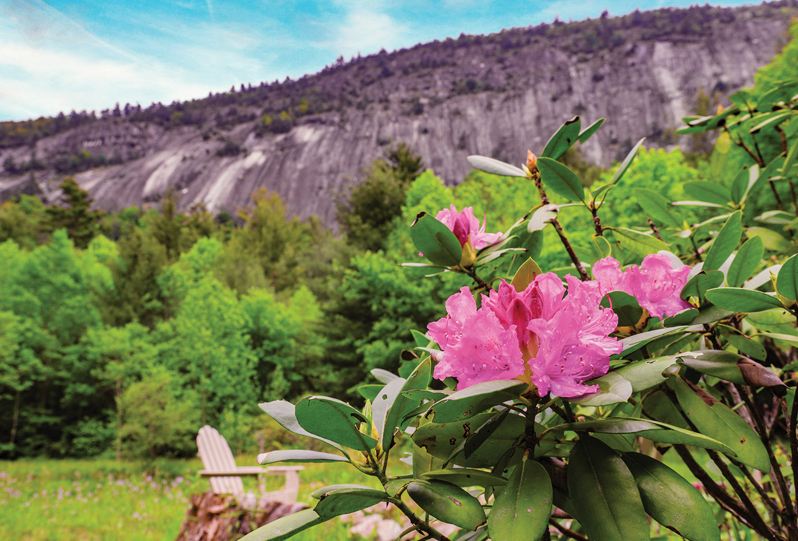 cashiers nc highlands nc cashiers designer showhouse rhodo2