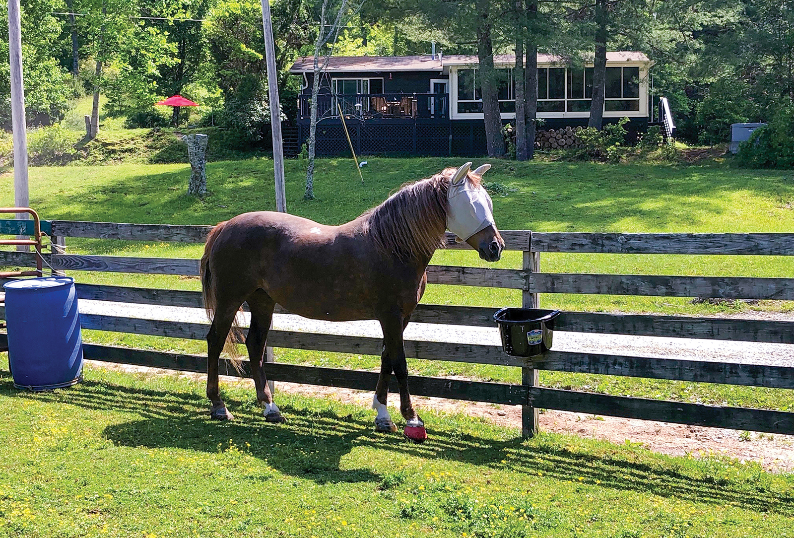 highlands nc carpe diem farms house