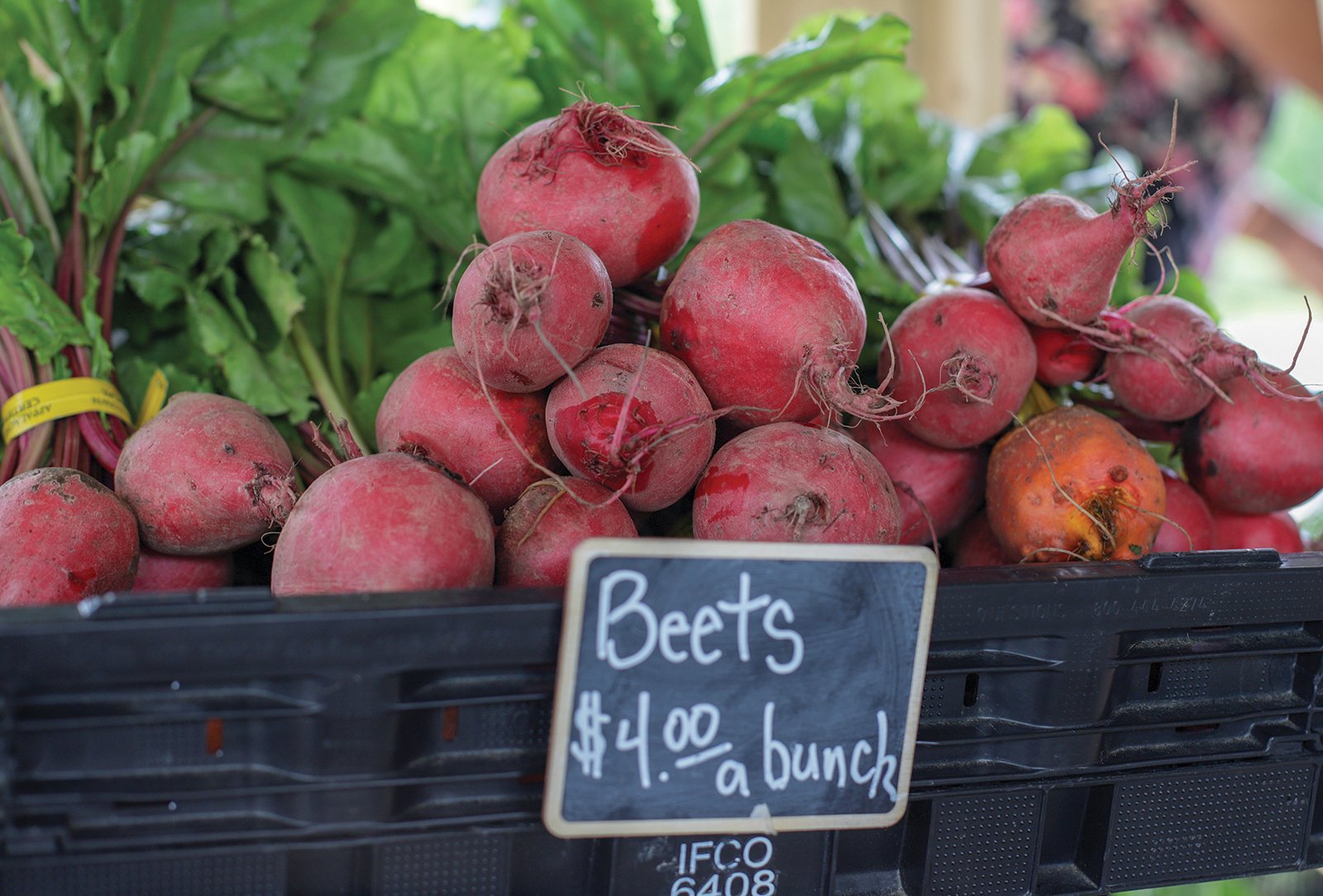 locally grown on the green cashiers nc beets