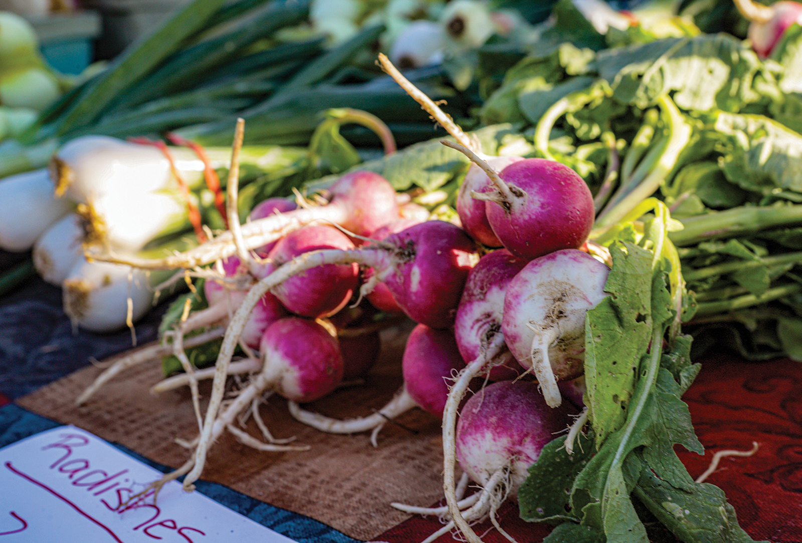 highlands nc highlands marketplace radish