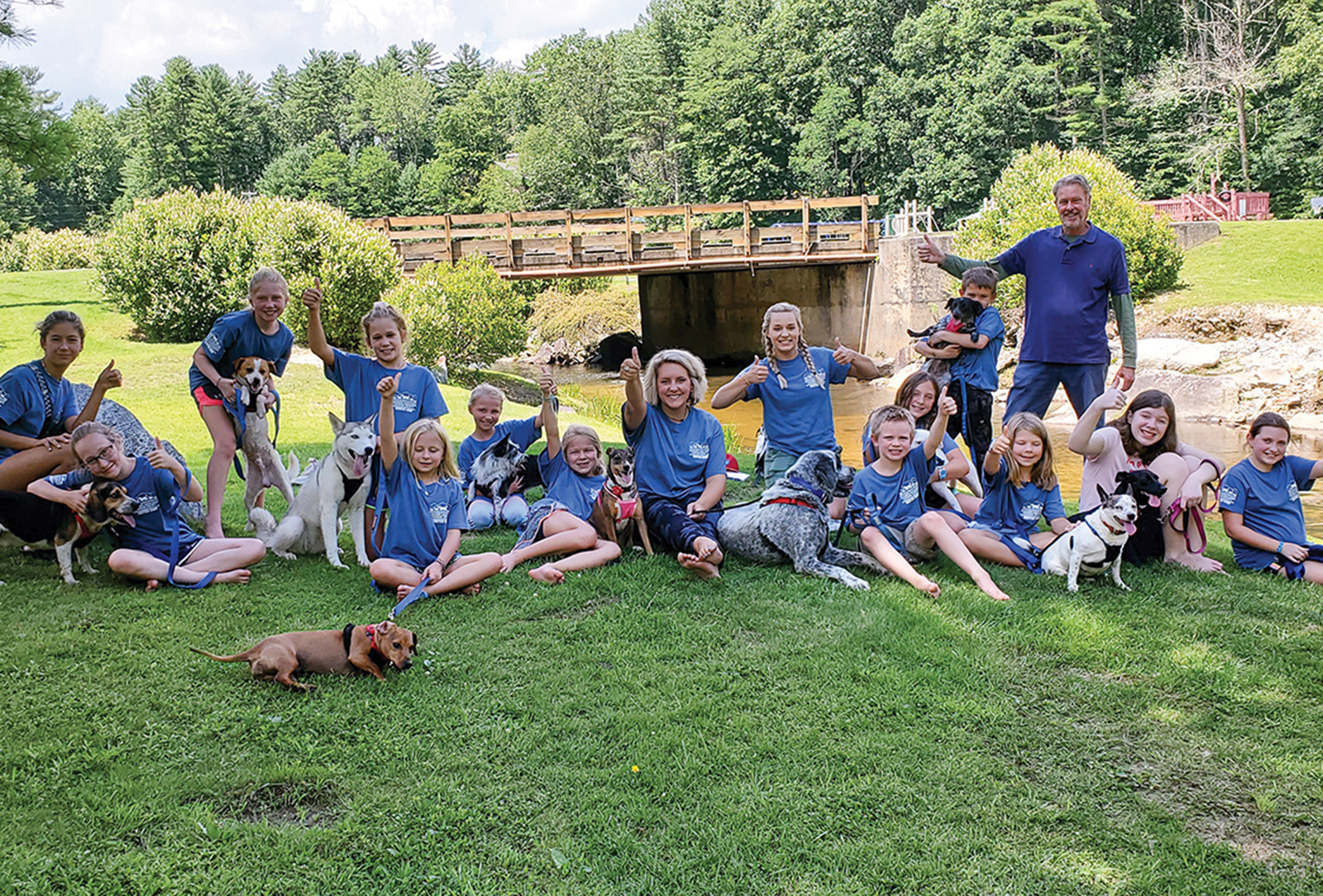 cashiers nc cashiers highlands humane society