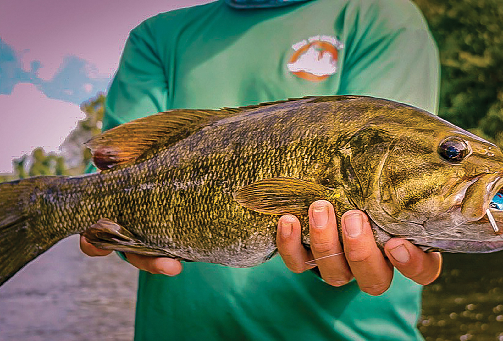 cashiers nc highlands nc fishing brookings