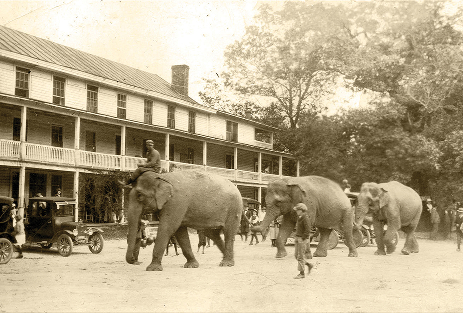 highlands nc history Circus Elephants in 1923