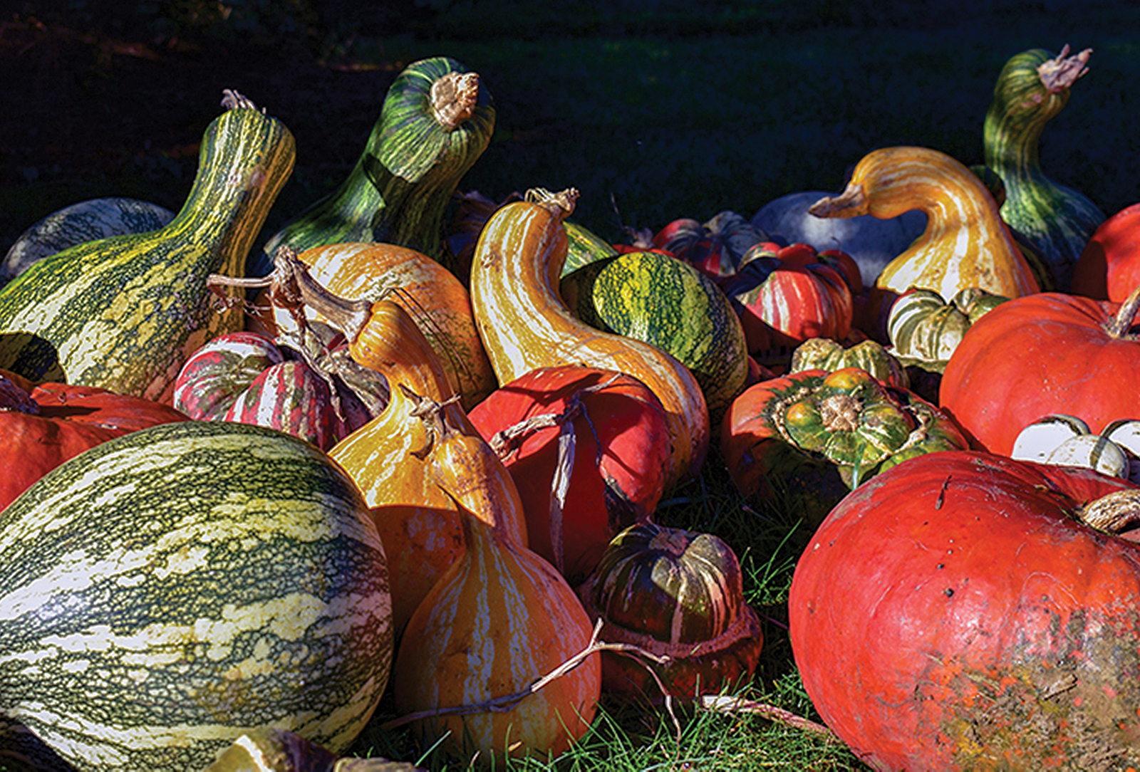 highlands nc pumpkinfest