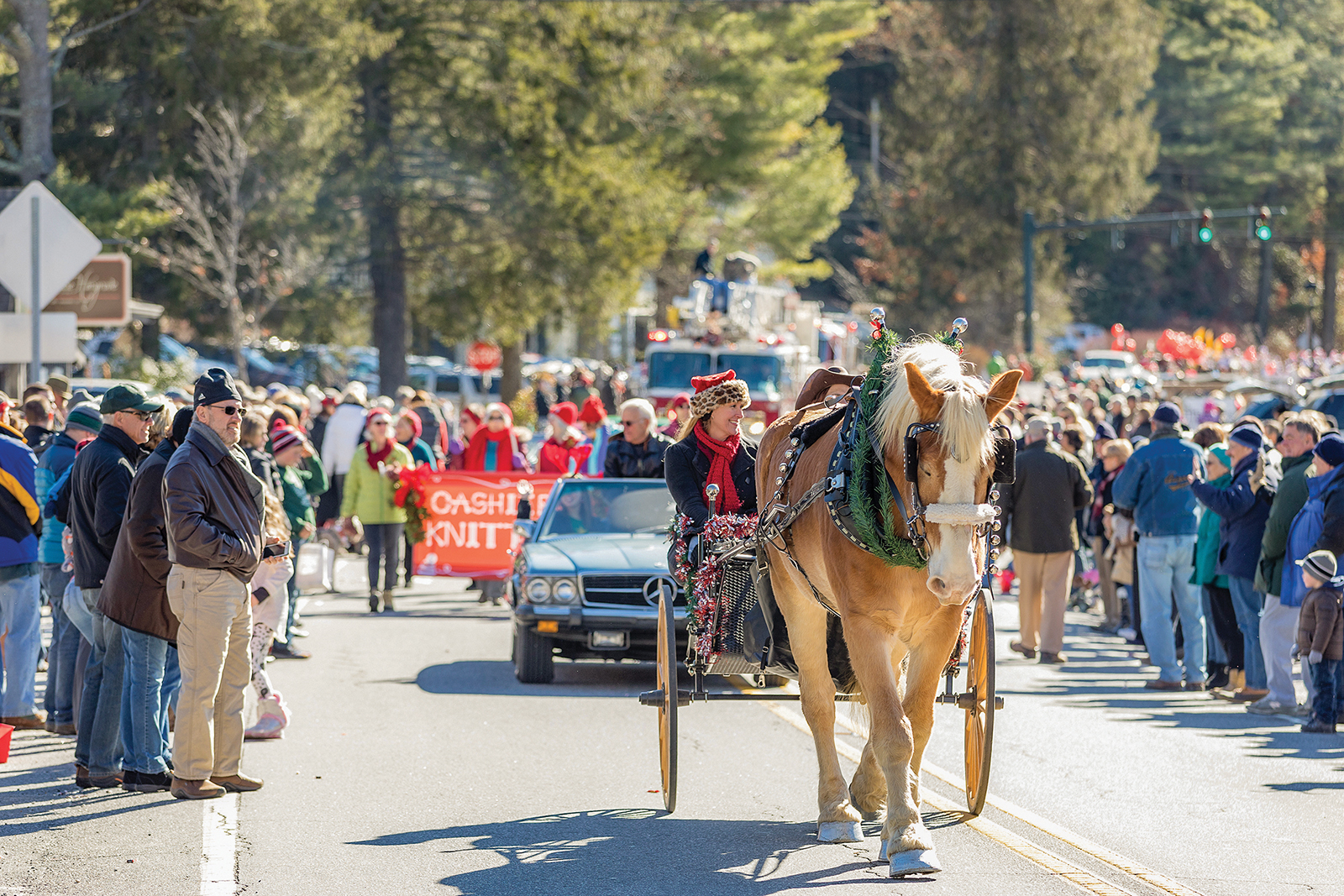 cashiers christmas parade nc horse