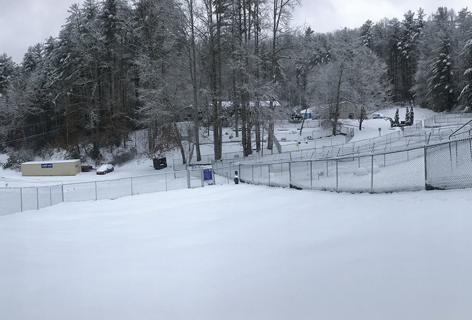 cashiers highlands humane society snow