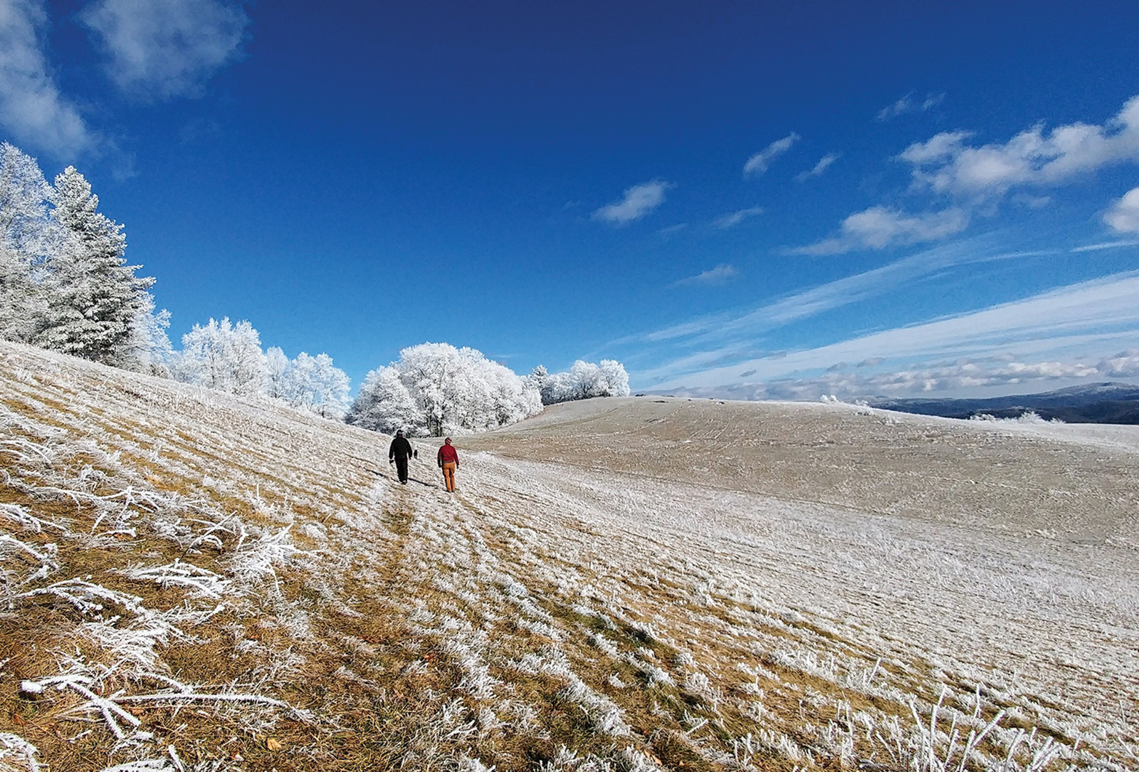 highlands nc cashiers nc winter cover contest beth towsend