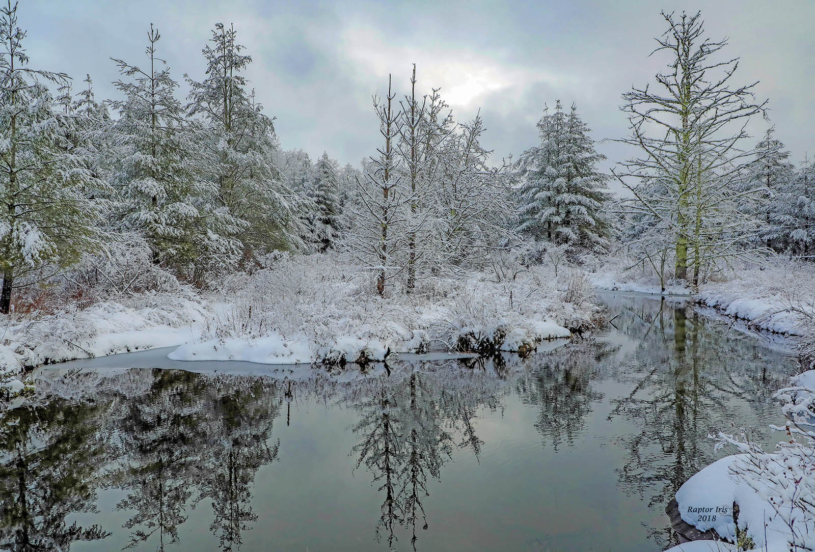 highlands nc cashiers nc winter photo contest greg clarkson