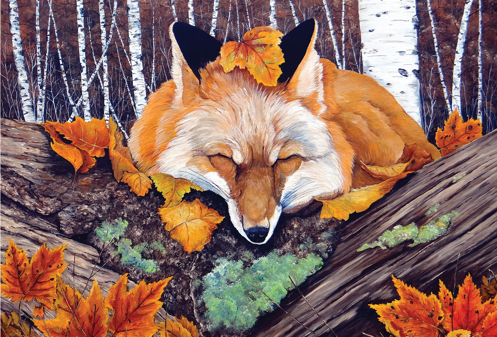 highlands nc cover december fox