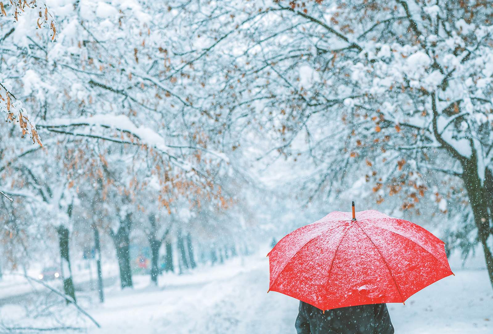 highlands nc mission health snow red umbrella