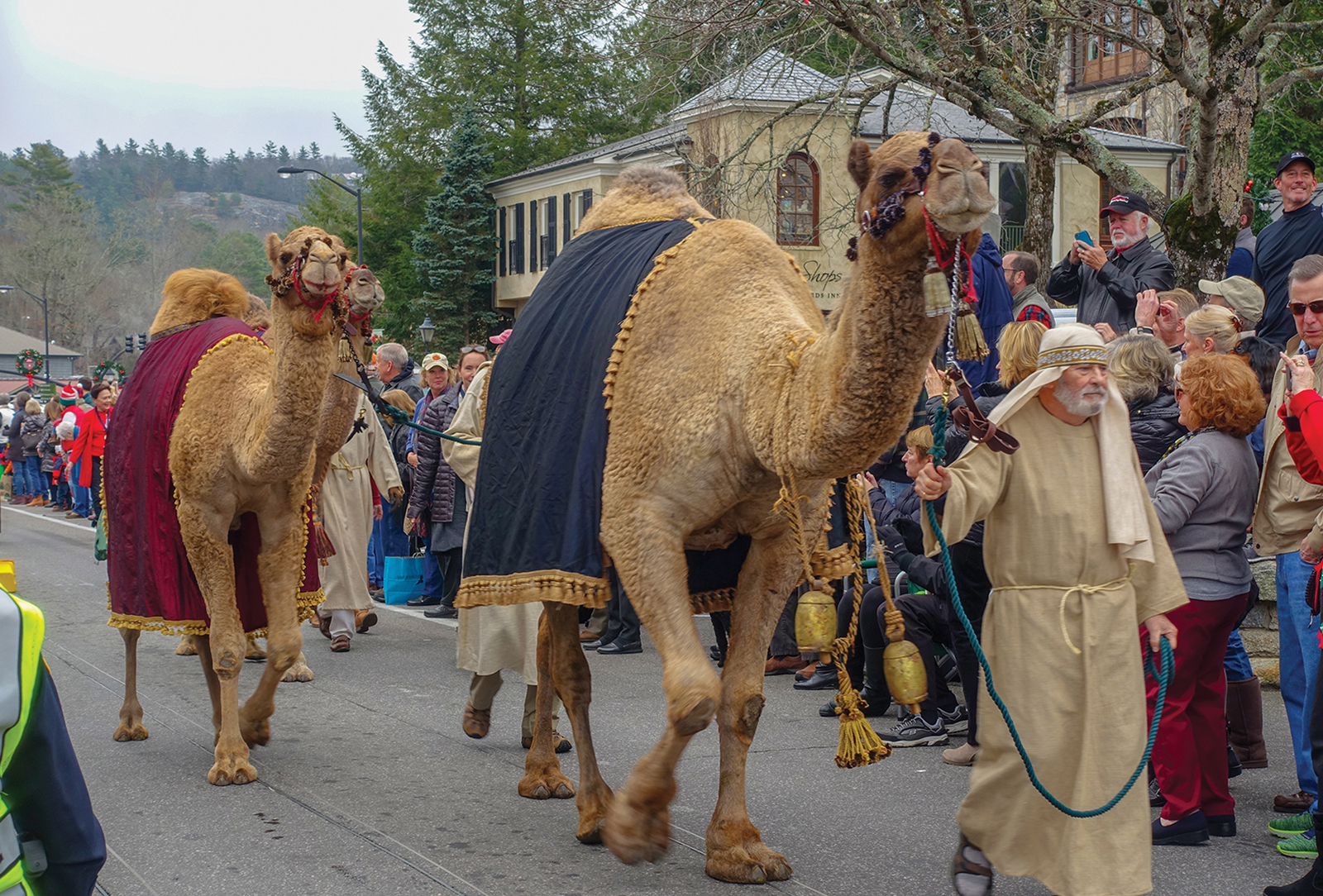 highlands nc parade camel