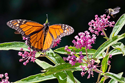 biological station garden tours