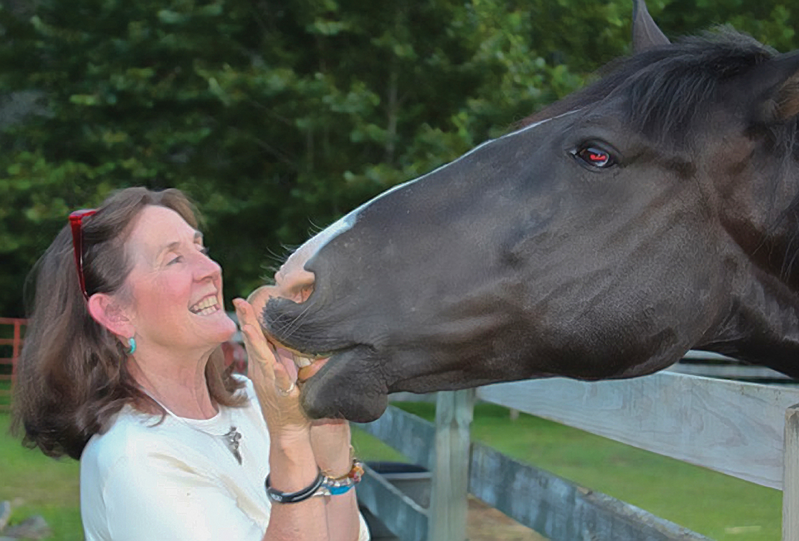 carpe diem farms highlands nc sue blair