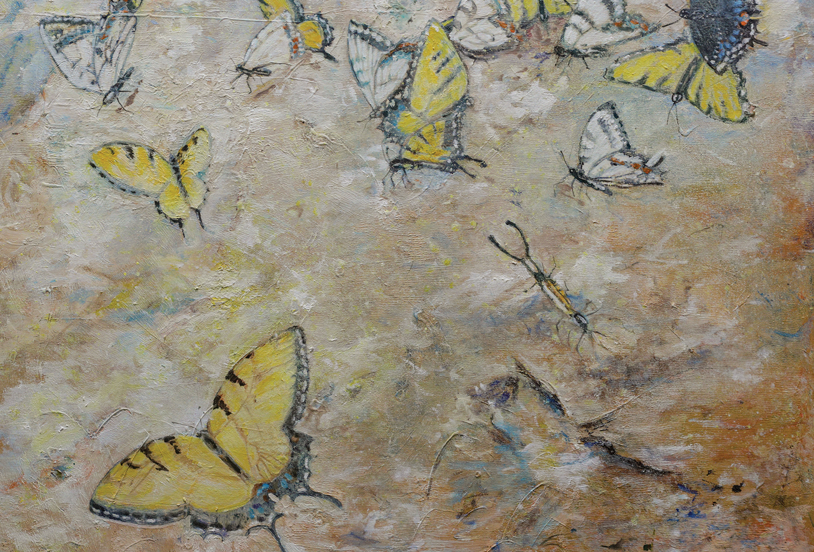 highlands nc cover artist pauline marr butterflies