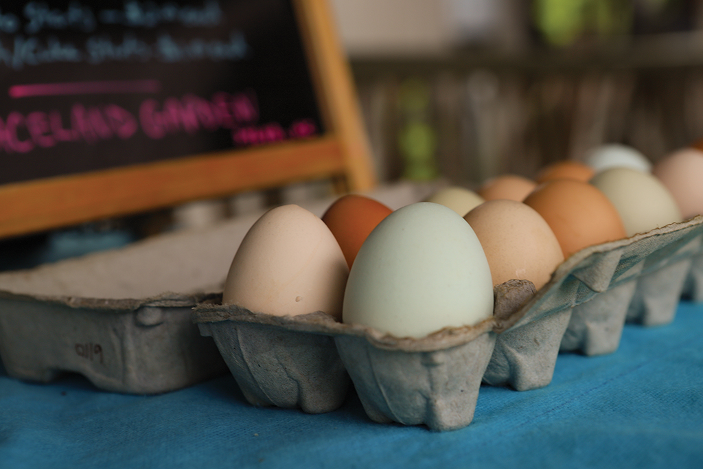 cashiers-nc-green-market-eggs