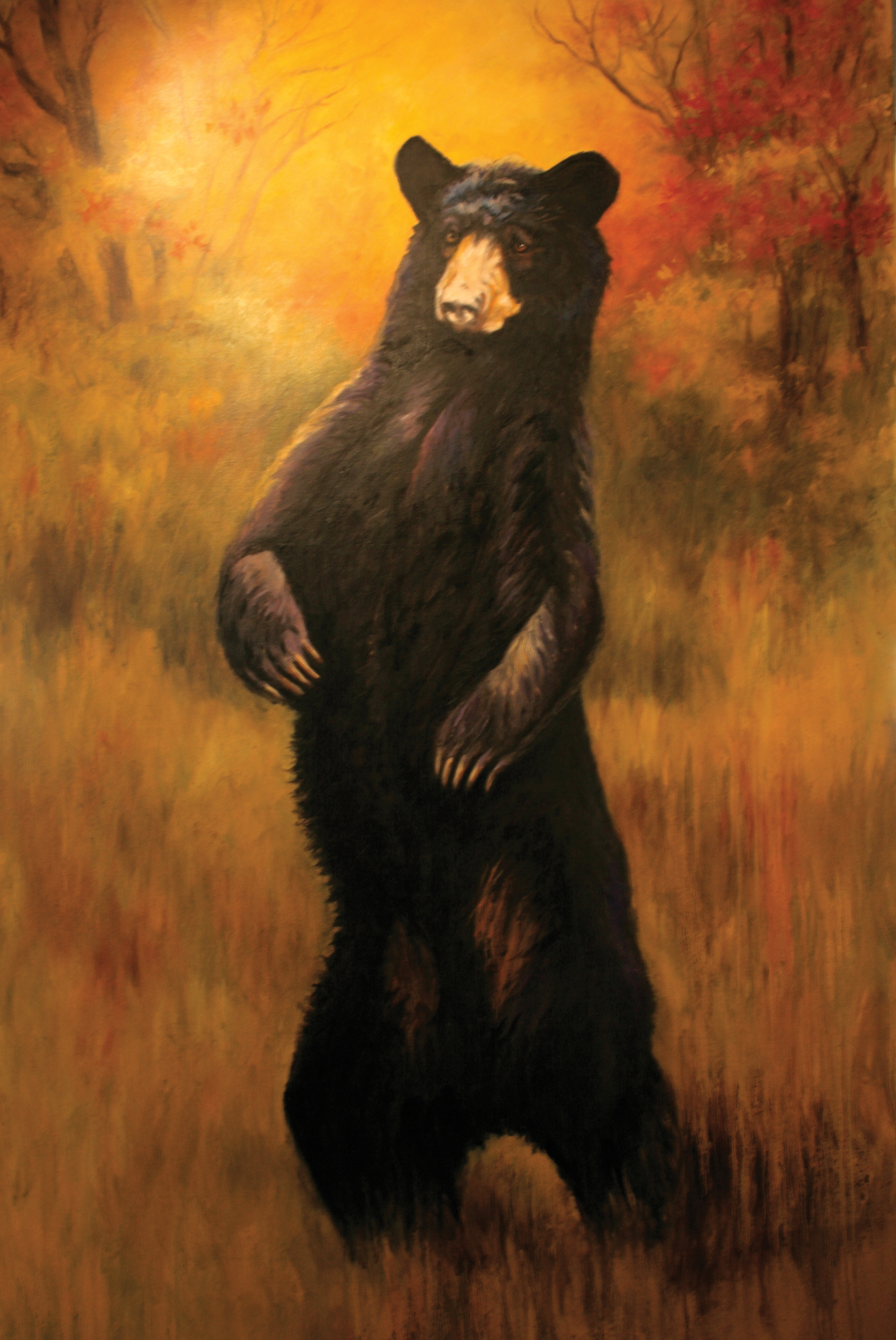 highlands-nc-artist-patty-calderone-black-bear
