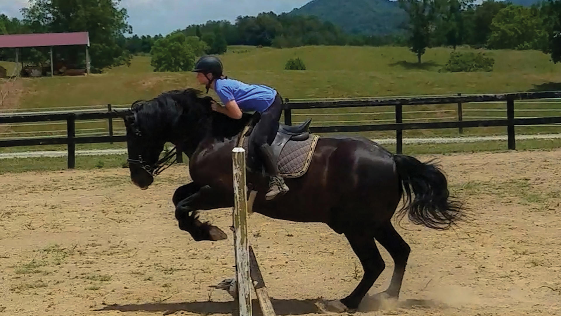 highlands-nc-carpe-diem-farms-horse-jump