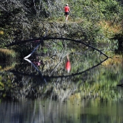 highlands-nc-runners-trail-lake