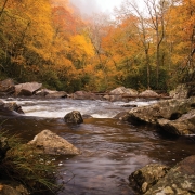 The Cullasaja Rive in Fall - Highlands NC