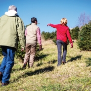 cashiers-nc-christmas-tree-farm-susan