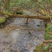 highlands-cashiers-land-trust-brushy-face