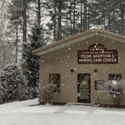 cashiers-nc-humane-society-snow