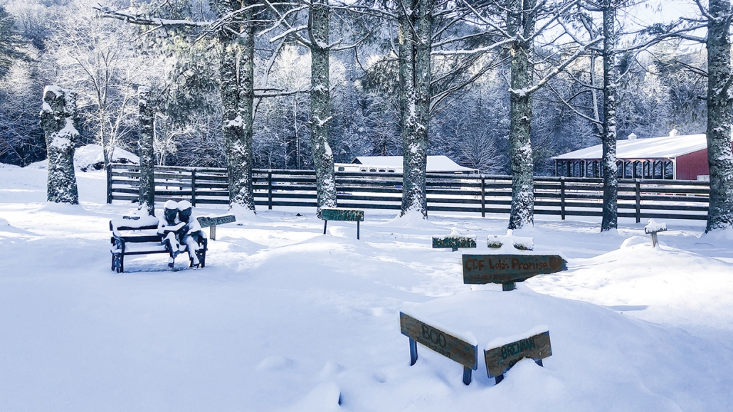 highlands-nc-carpe-diem-farms-winter