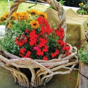 highlands-nc-cashiers-nc-vine-basket