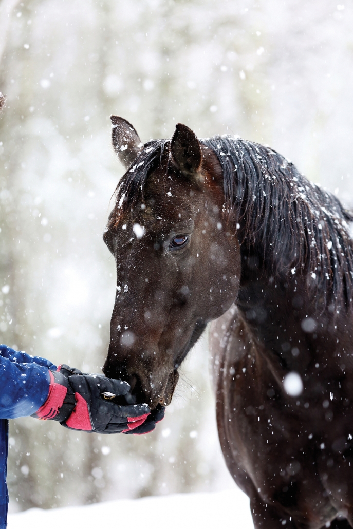  photo by Carole Shepardson