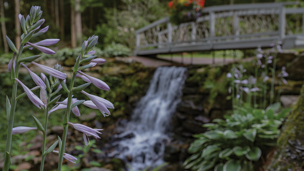 joy garden tour cashiers nc 2023