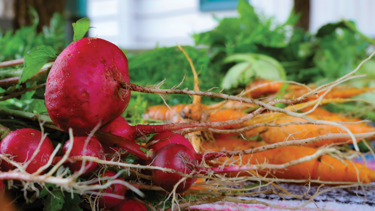 cashiers-nc-green-market-beets