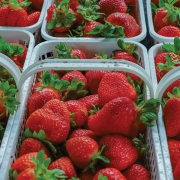 cashiers-nc-green-market-strawberries