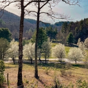 highlands-nc-carpe-diem-farms