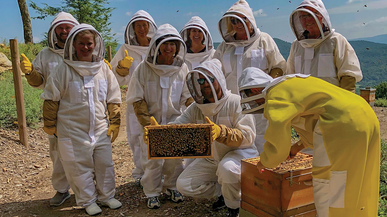 lake-toxaway-killer-bees-honey-group-inspecting