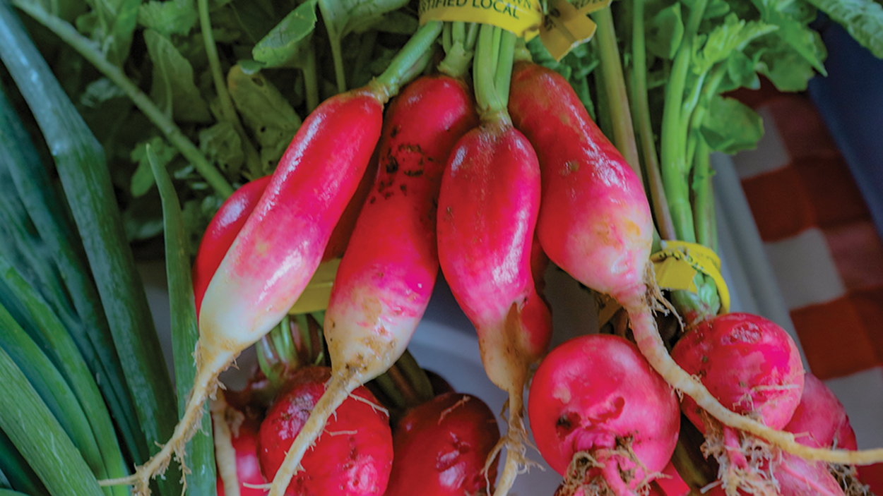 cashiers-nc-green-market-radishes