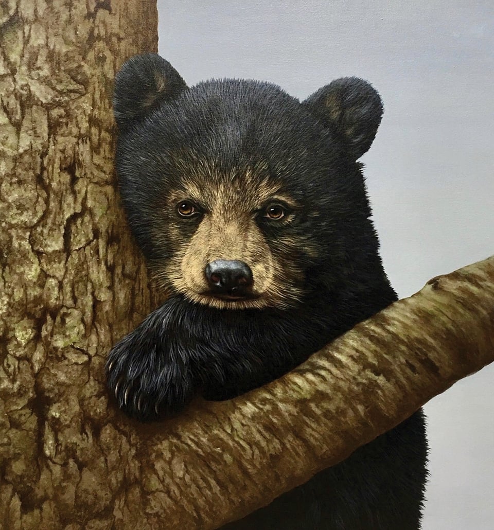 david-berger-cashiers-nc-artist-bear-august-cover