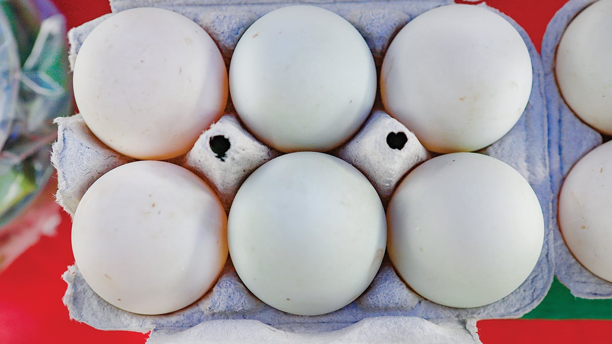 highlands-nc-marketplace-eggs