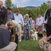 cashiers-nc-blessing-of-the-animals