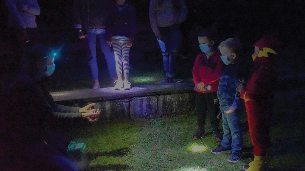 highlands-nc-biological-station-Salamander-Meander-night