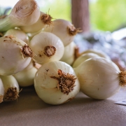 cashiers-nc-green-market-onions