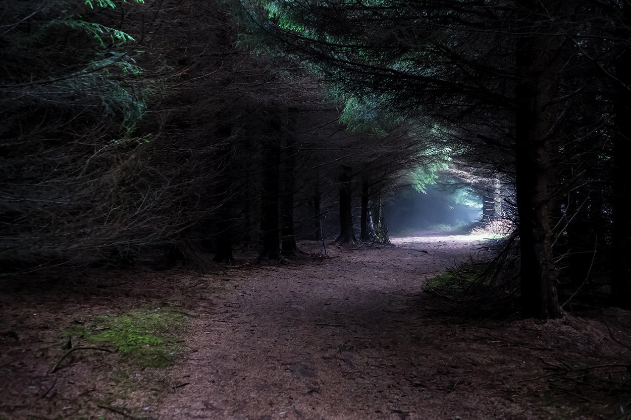 Narrow Path Through Foogy Mysterious Forest