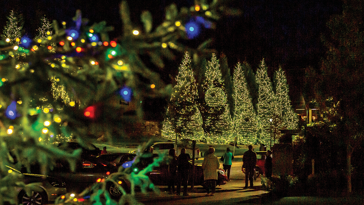 Christmas Tree Lighting