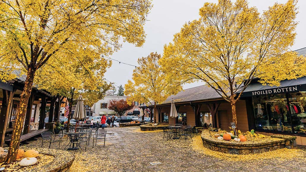 Seeking Solace in Highlands Laurel Magazine