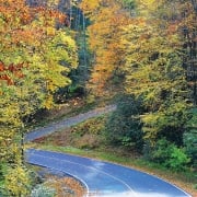 october-fall-leaves-road