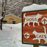 cashiers-highlands-humane-society-winter