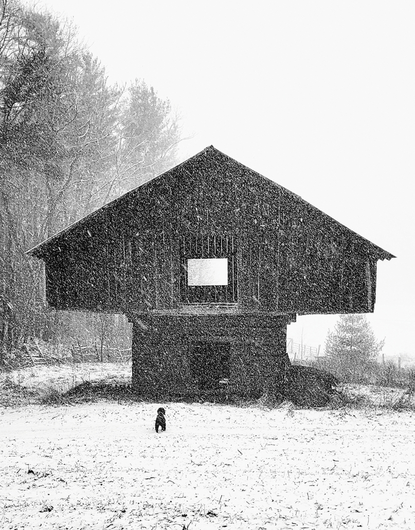 photographer-kirk-dornush-doggie-barn-snow