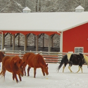 highlands-nc-carpe-diem-farms